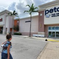 Petco ico