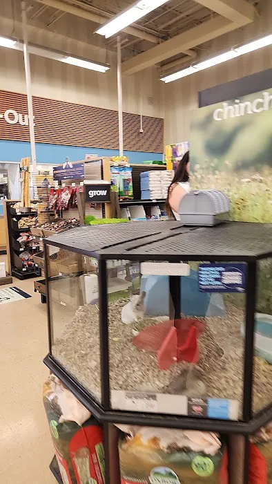 Petco Picture 4