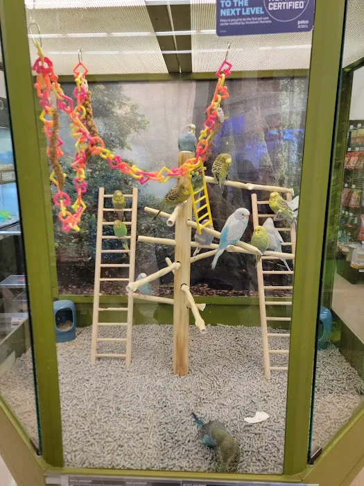 Petco Picture 7