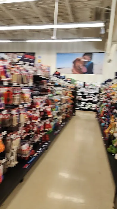 Petco Picture 9