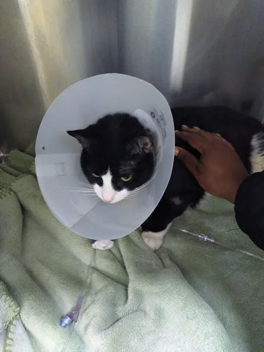 Faithful Friends Animal Hospital Picture 7
