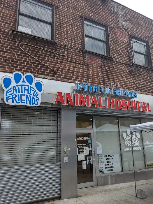 Faithful Friends Animal Hospital Picture 8