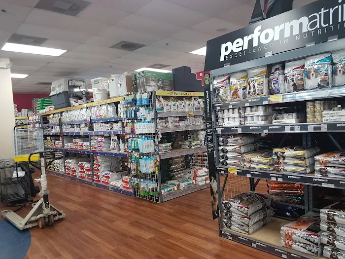 Pet Supermarket Picture 1