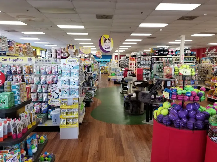 Pet Supermarket Picture 3