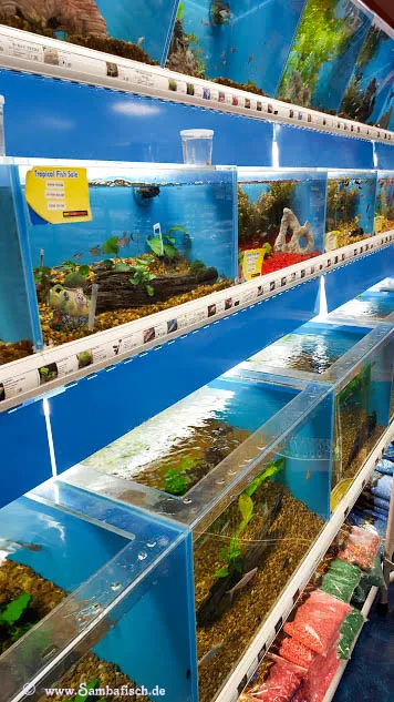 Pet Supermarket Picture 4
