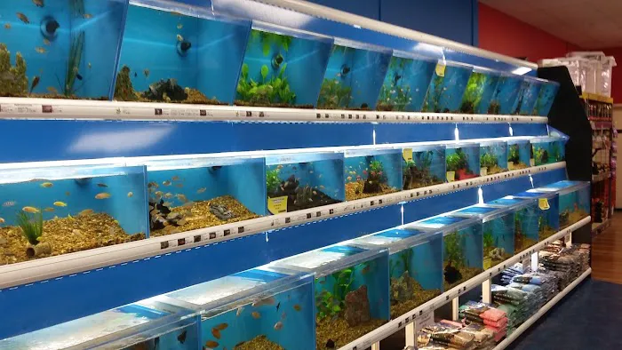 Pet Supermarket Picture 7