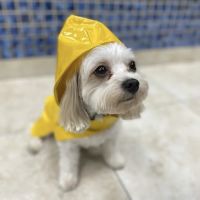 Oceanside Animal Clinic ico