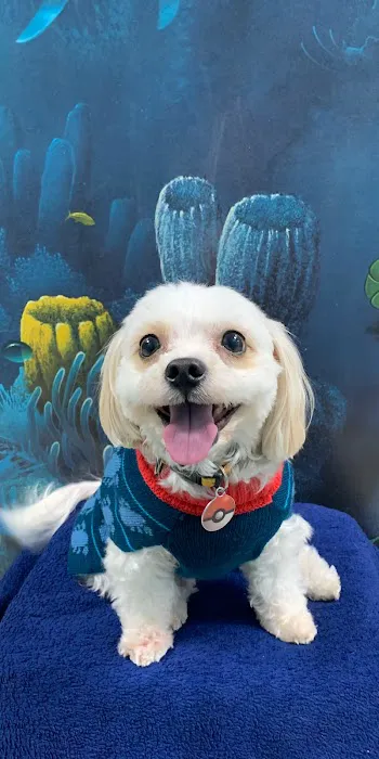 Oceanside Animal Clinic Picture 2