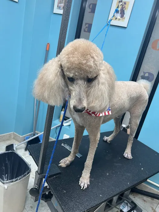 Oceanside Animal Clinic Picture 3