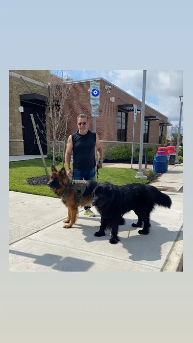 Kind Vet Picture 6