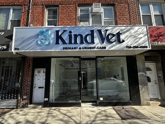 Kind Vet Picture 7