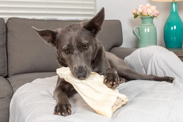 Natural Cravings Pet Treats Picture 3