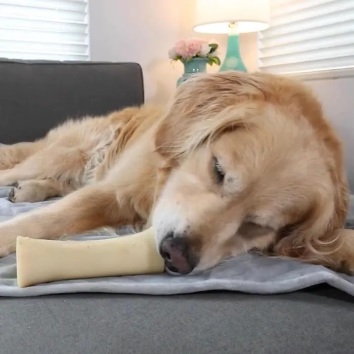 Natural Cravings Pet Treats Picture 2