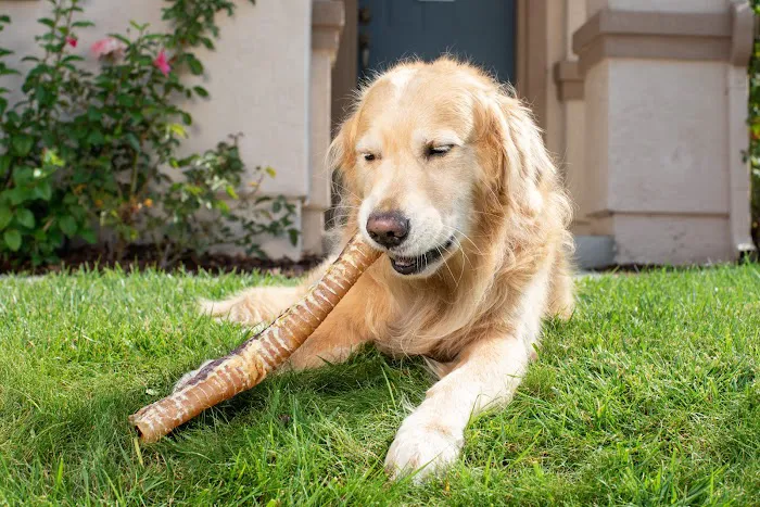 Natural Cravings Pet Treats Picture 5