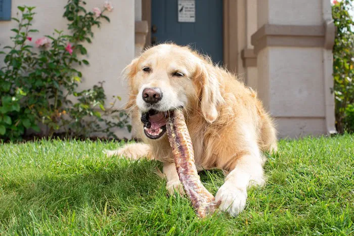 Natural Cravings Pet Treats Picture 7