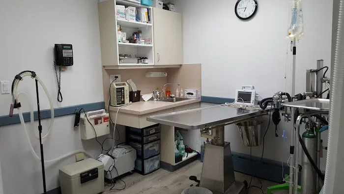 Ark Life Veterinary Picture 1