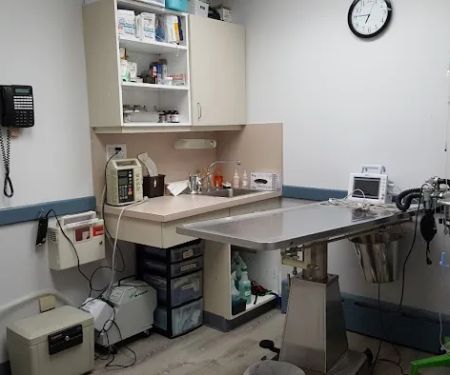 Ark Life Veterinary