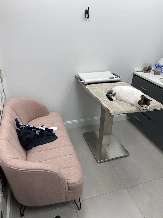 Ivy Pets - Midwood Picture 8