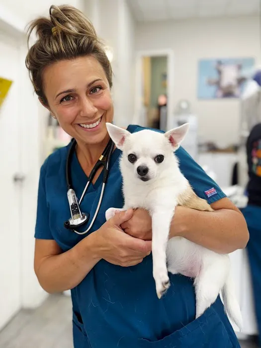 Park Slope Veterinary Center Picture 4