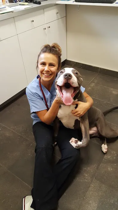 Park Slope Veterinary Center Picture 3