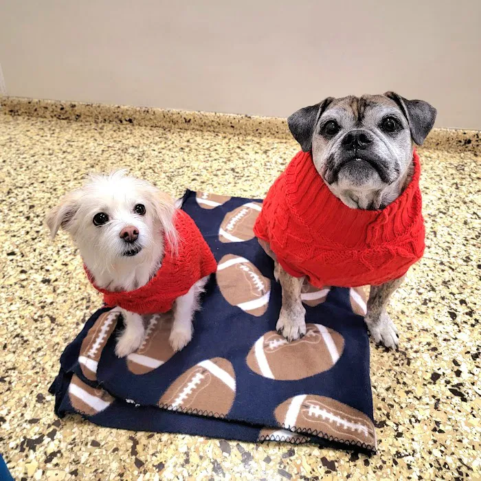 Park Slope Veterinary Center Picture 6