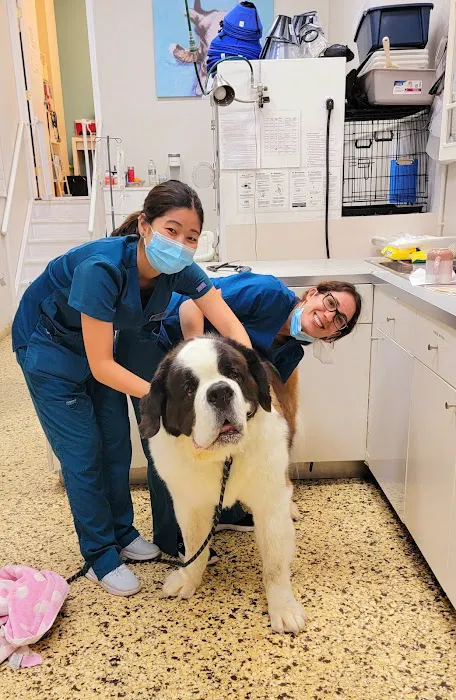 Park Slope Veterinary Center Picture 10
