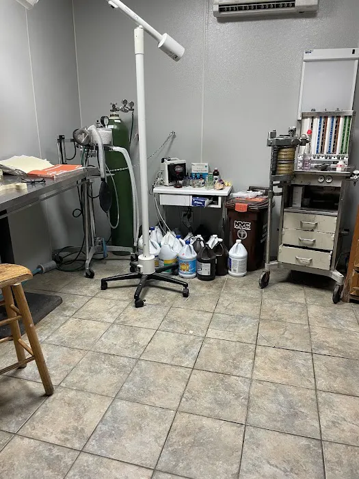 Call Ahead Veterinary Picture 3