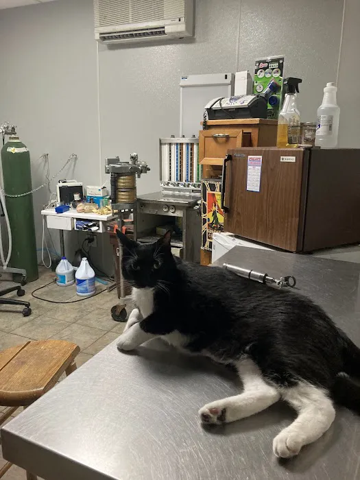 Call Ahead Veterinary Picture 4