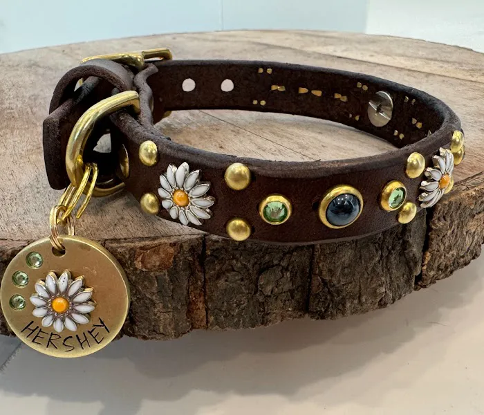 Lei Custom Collars Picture 3