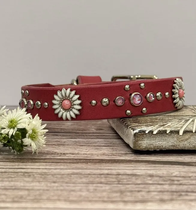 Lei Custom Collars Picture 5