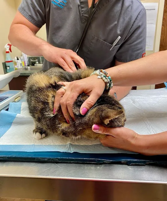 Carroll Gardens Veterinary Group Picture 12