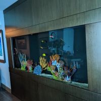 Heart of Brooklyn Veterinary Hospital - Flatbush ico
