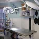 Prospect Park Animal Clinic