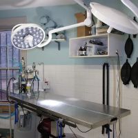 Prospect Park Animal Clinic ico