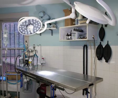 Prospect Park Animal Clinic