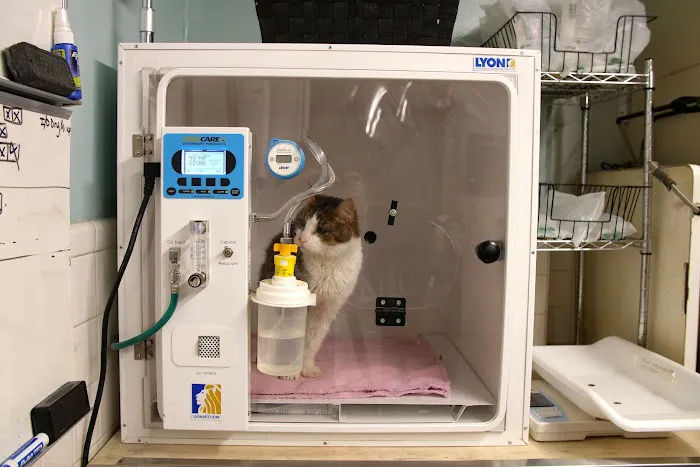 Prospect Park Animal Clinic Picture 6