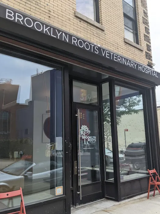 Brooklyn Roots Veterinary Hospital Picture 2
