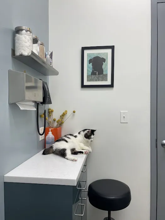 Brooklyn Roots Veterinary Hospital Picture 3