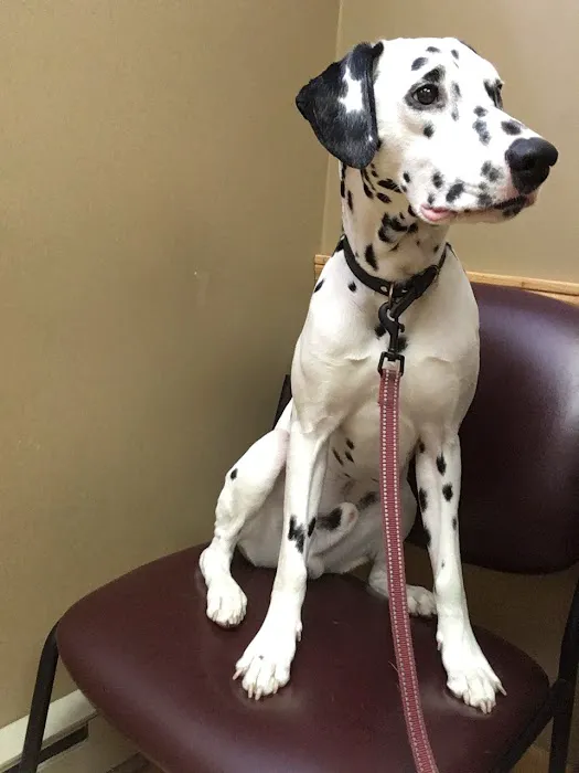 Horsfield and Associates Veterinary Hospital Picture 1