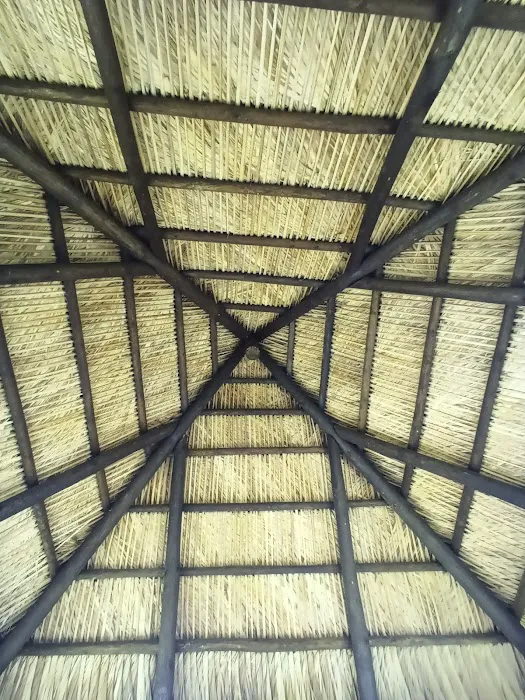 Avian Structures Picture 6