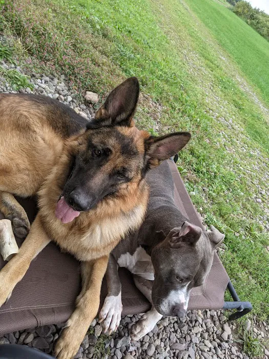 Schultzville Animal Hospital Picture 1