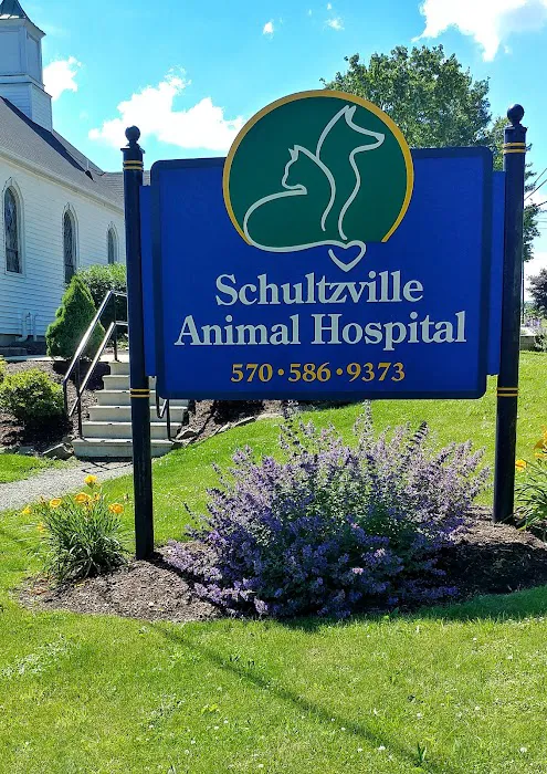Schultzville Animal Hospital Picture 4