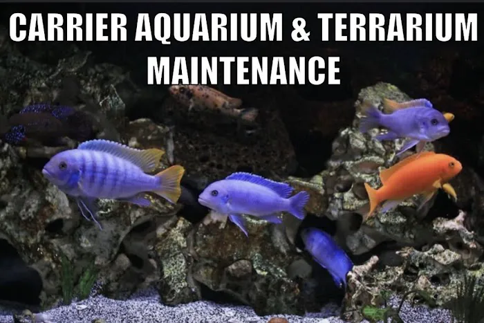 Carrier Aquarium & Terrarium Maintenance Picture 2