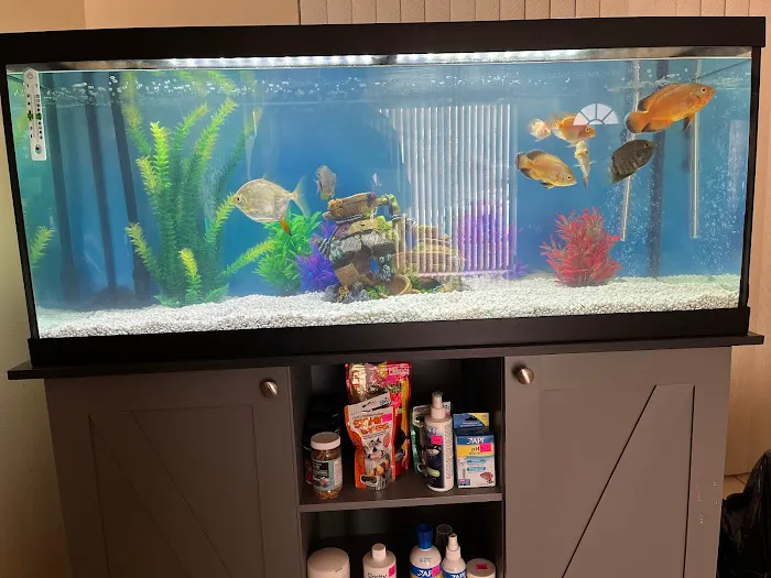 Carrier Aquarium & Terrarium Maintenance Picture 1