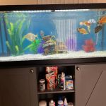 Carrier Aquarium & Terrarium Maintenance