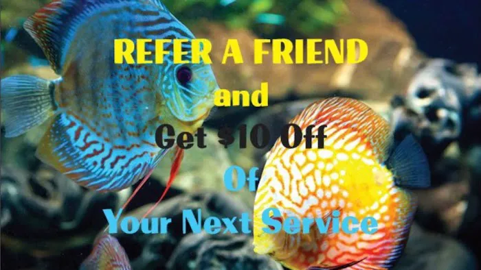 Carrier Aquarium & Terrarium Maintenance Picture 4