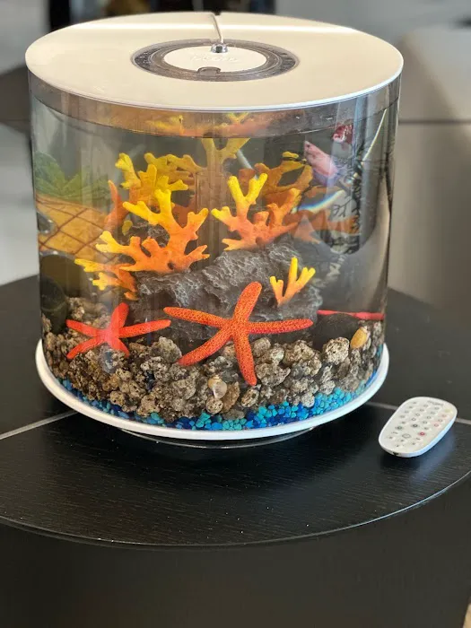 Carrier Aquarium & Terrarium Maintenance Picture 5