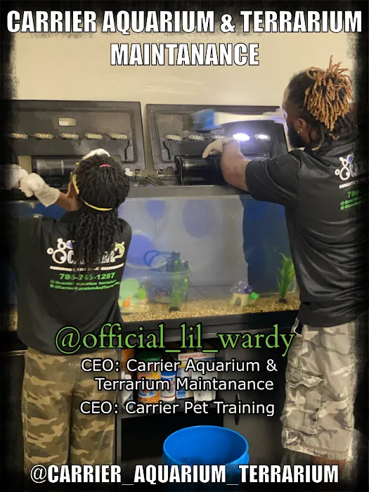 Carrier Aquarium & Terrarium Maintenance Picture 7