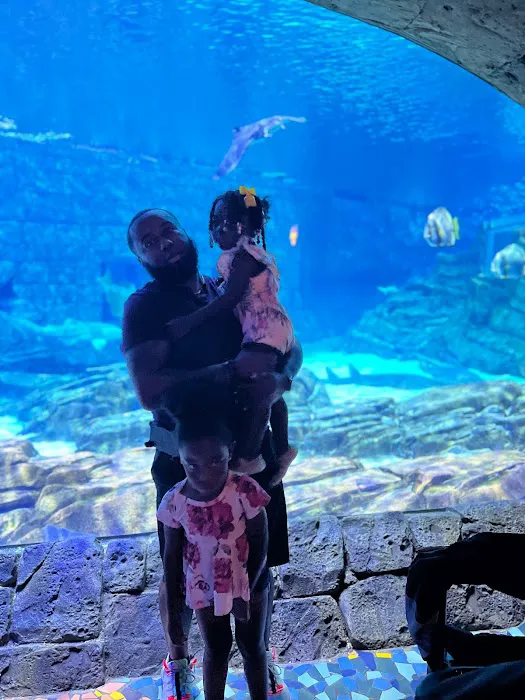 Carrier Aquarium & Terrarium Maintenance Picture 9
