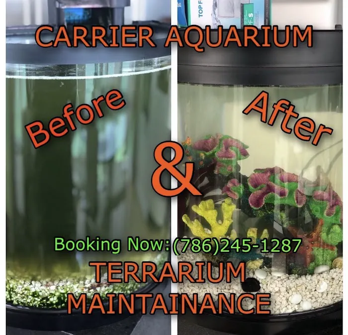 Carrier Aquarium & Terrarium Maintenance Picture 10